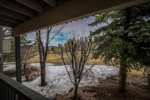 Sunny Side Up-1343 by Big Bear Vacations