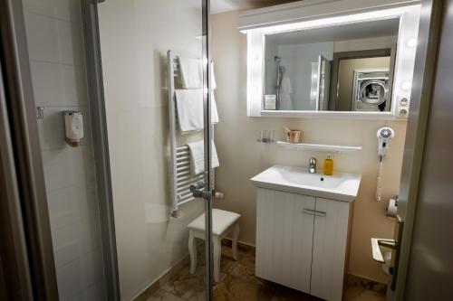 a bathroom with a sink, mirror, and toilet at Hotel-Restaurant Burg Hornberg in Neckarzimmern