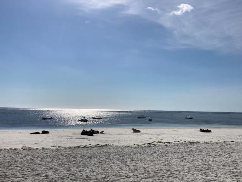 a sandy beach with boats in the water at Mambo Paradise in Matemwe