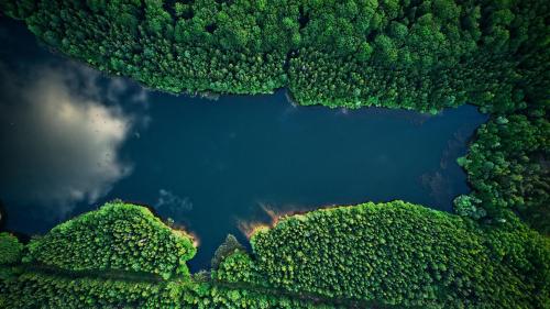 an aerial view of a lake in the middle of a forest at MátraForRest in Mátraszentistván