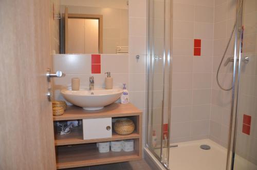 La salle de bains est pourvue d'un lavabo et d'une douche. dans l'établissement Apartmán Loučná - Špičákovi, à Loučná nad Desnou