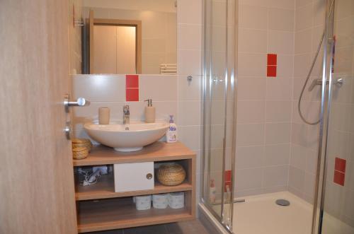 łazienka z umywalką i prysznicem w obiekcie Apartmán Loučná - Špičákovi w mieście Loučná nad Desnou