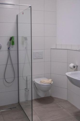 a white bathroom with a toilet and a sink at Hotel JÄGERHAUS in Singen am Hohentwiel in Singen