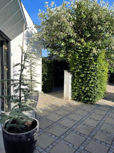 a potted tree in a pot next to a building at Helts B&B - Helts Guesthouse in Herning