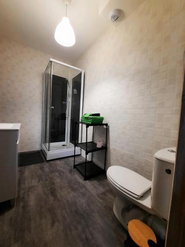 a bathroom with a toilet and a shower at Gîte L'Equilibre - Lac/montagnes- Familles-groupes in Kruth