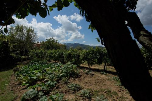 Φυσικό τοπίο κοντά σε αυτό το κατάλυμα σε φάρμα