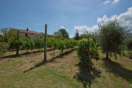 Κήπος έξω από το Agriturismo Podere Acqualoreto