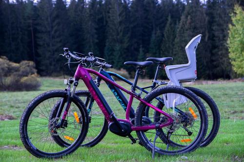 a purple bike parked in the grass in a field at Orava Village in Oravská Lesná