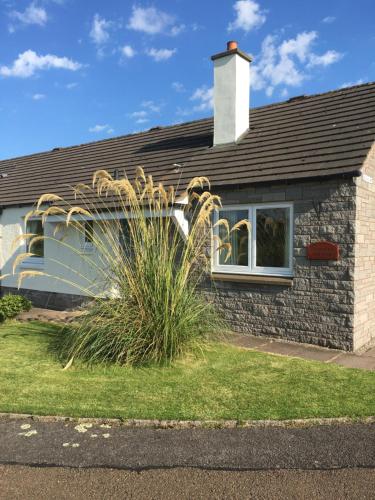 a house with a plant in front of it at Lavender Cottage with Parking and Beautiful Views in Carsphairn