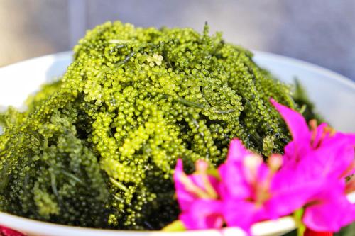 那覇市にある沖縄逸の彩ホテルのテーブルの上にはブロッコリーとピンクの花が入ったボウル