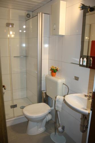 a bathroom with a toilet and a shower and a sink at Gästewohnung Kurz in Sankt Goar
