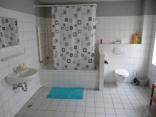 a bathroom with a shower and a sink and a toilet at 404-Hostel in Cologne