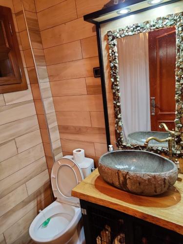 a bathroom with a sink and a toilet and a mirror at EKO KUĆA HEDONIJA in Bajina Bašta