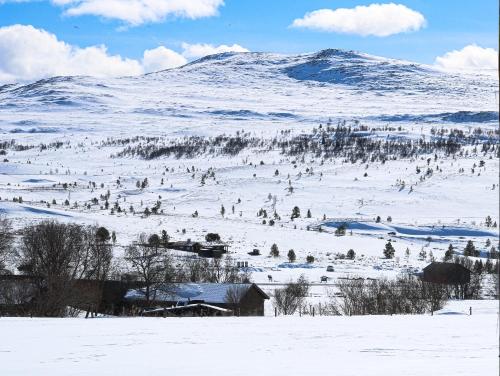 a group of people skiing on a snow covered mountain at Høvringen Fjellstue in Høvringen