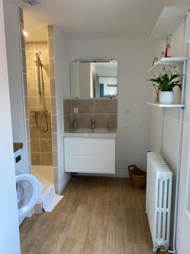 une salle de bain avec une baignoire, un lavabo et un miroir dans l'établissement Le clos jasmin - quartier historique de Montlouis, à Montlouis-sur-Loire