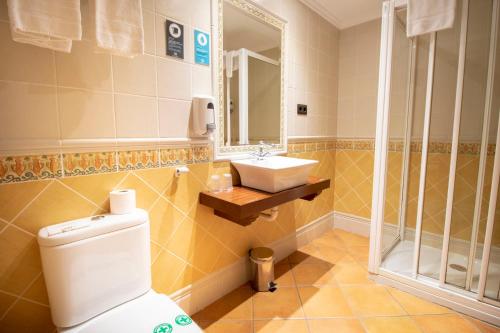 a bathroom with a toilet and a sink at Alda Casco Antiguo in León