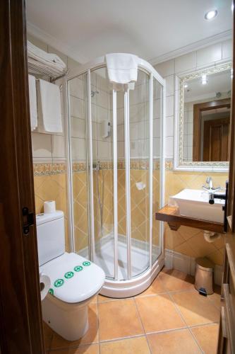 a bathroom with a shower and a toilet and a sink at Alda Casco Antiguo in León