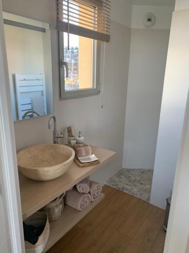 La salle de bains est pourvue d'un grand lavabo et d'un miroir. dans l'établissement Horizon Bleu, à Deauville