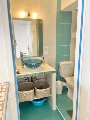 une salle de bain avec un lavabo et des toilettes dans l'établissement Appartement les mouettes du Cap d'Agde, au Cap d'Agde