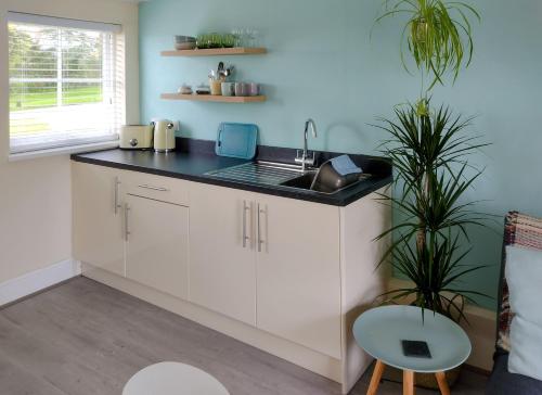 a kitchen with white cabinets and a sink at The Annexe in Hawkedon