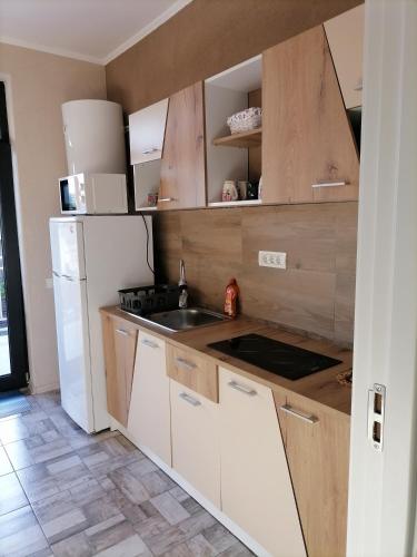 Kuchyň nebo kuchyňský kout v ubytování Rimimi Apartamente