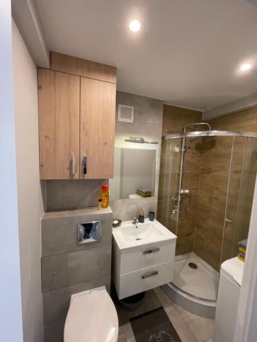 Un baño con inodoro, ducha y lavabo. en LUXURY WHITE APARTMENT by Marta, en Radom