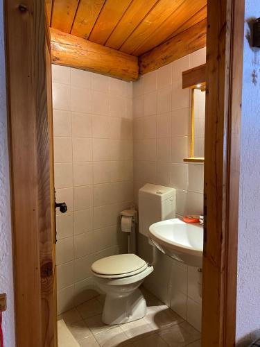 a bathroom with a toilet and a sink at Casa Ornella - Baita Pra Sec in Montita