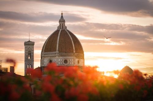 a building with a clock tower and a bird in the sky at Hotel Cardinal of Florence - recommended for ages 25 to 55 in Florence