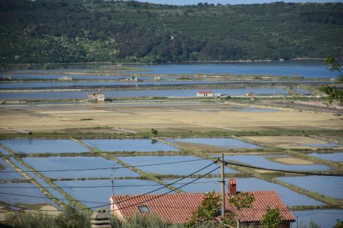 an aerial view of a field with a body of water at Apartment Burja with Olive Grove & Salt Pans View in Portorož