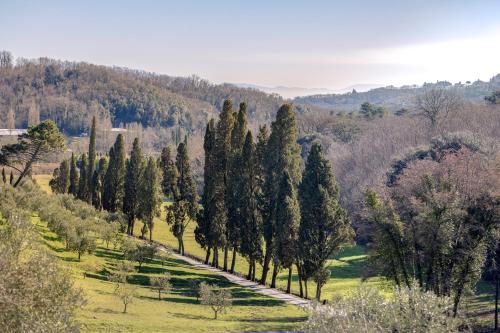 Rivo della Corte – Photos 2