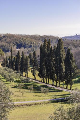 Rivo della Corte – Photos 3