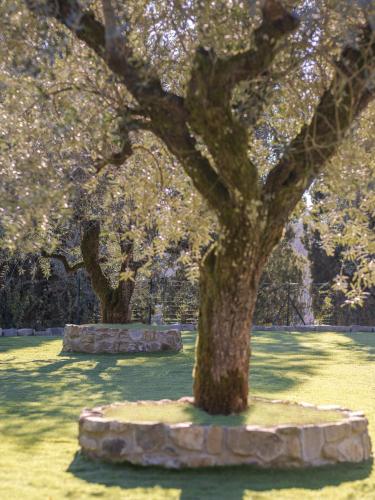 Rivo della Corte – Photos 5
