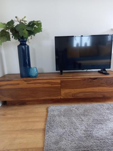 a flat screen tv sitting on top of a wooden entertainment center at bungalow Onder de iep in Ermelo
