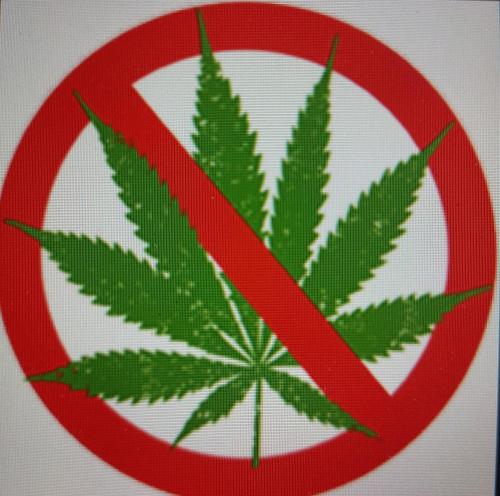 a no marijuana sign with a marijuana leaf in it at Shortstay Bilderdijk in Enschede