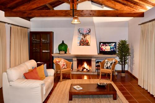 ein Wohnzimmer mit einem Sofa und einem Kamin in der Unterkunft Casa da Clarinha in Penalva do Castelo