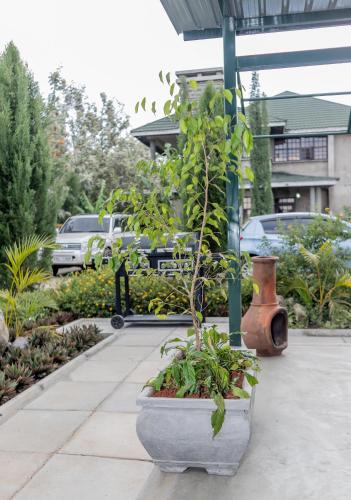 a plant in a pot sitting on a sidewalk at Enkarsis Resort Villa in Kitengela 