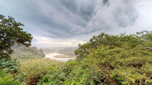 a view of a river from a hill with trees at San Lameer Villa 3002 by Top Destinations Rentals in Southbroom