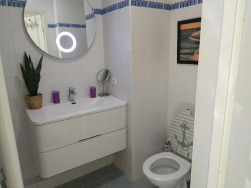 une salle de bain avec un lavabo, des toilettes et un miroir dans l'établissement Joli T2 proche plages, à Bidart