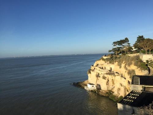 a view of a body of water with trees on a cliff at LA CABANE DE L'ESTUAIRE chambres d'hôte in Meschers-sur-Gironde