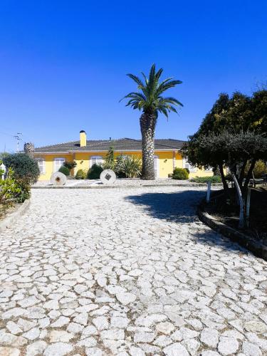 a house with a palm tree and a stone driveway at A Flor da Rosa in Vila Nova de Foz Coa