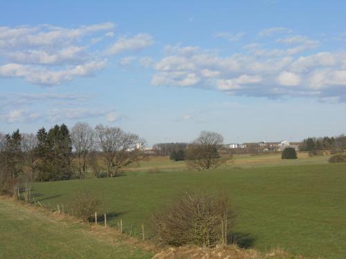 a large green field with trees and a fence at B&B V.K. PGmbH in Saint-Vith