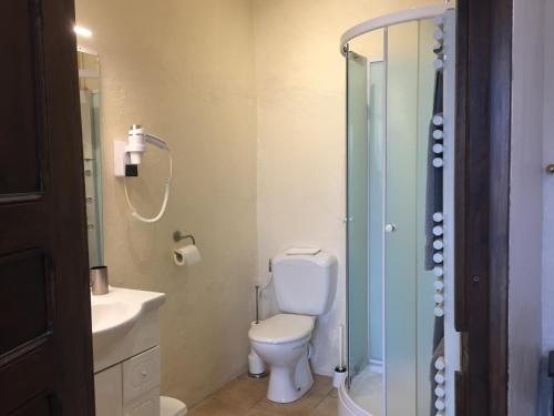 a bathroom with a toilet and a sink and a shower at Château de Laumière in Promilhanes