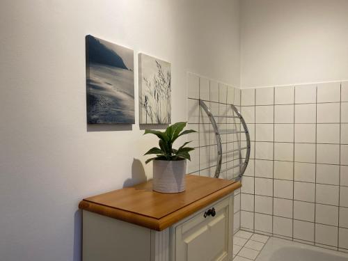 a bathroom with a potted plant on top of a cabinet at Ferienwohnung Bress OG in Ueckermünde