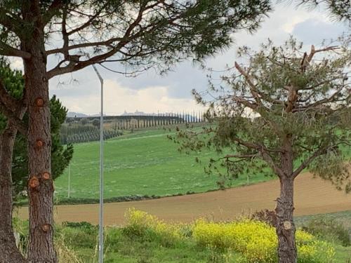 a field with two trees and a street light at il borghetto Bennie en Liisa in Cupra Marittima