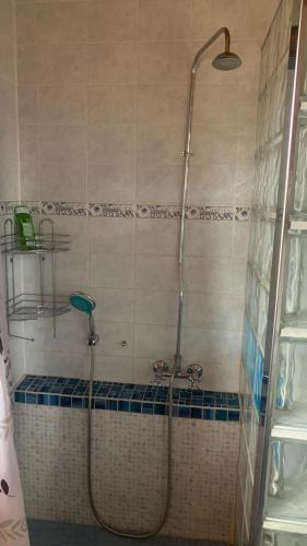 a shower with a glass door in a bathroom at Pension Laura in Chřibská