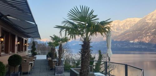 a palm tree on a balcony with a view of a lake at Hotel Brienzersee in Ringgenberg