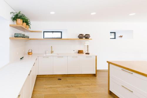 Kuchyň nebo kuchyňský kout v ubytování Casa Vieira Lobo