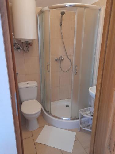 a bathroom with a shower with a toilet and a sink at Domki u Marcina in Sarbinowo