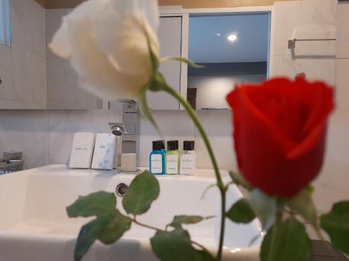 a red rose sitting next to a bathroom sink at Tea Mount Forest in Nuwara Eliya