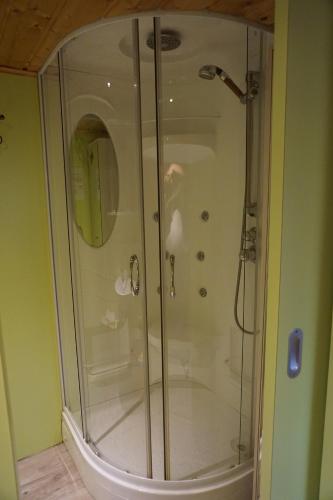 a shower with a glass door in a bathroom at Pension im Glück Thale in Thale